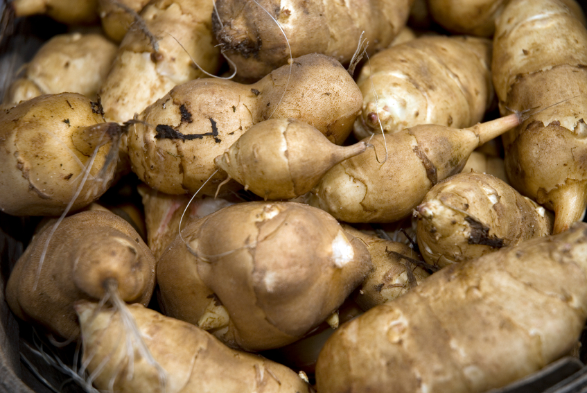 Jerusalem Artichoke